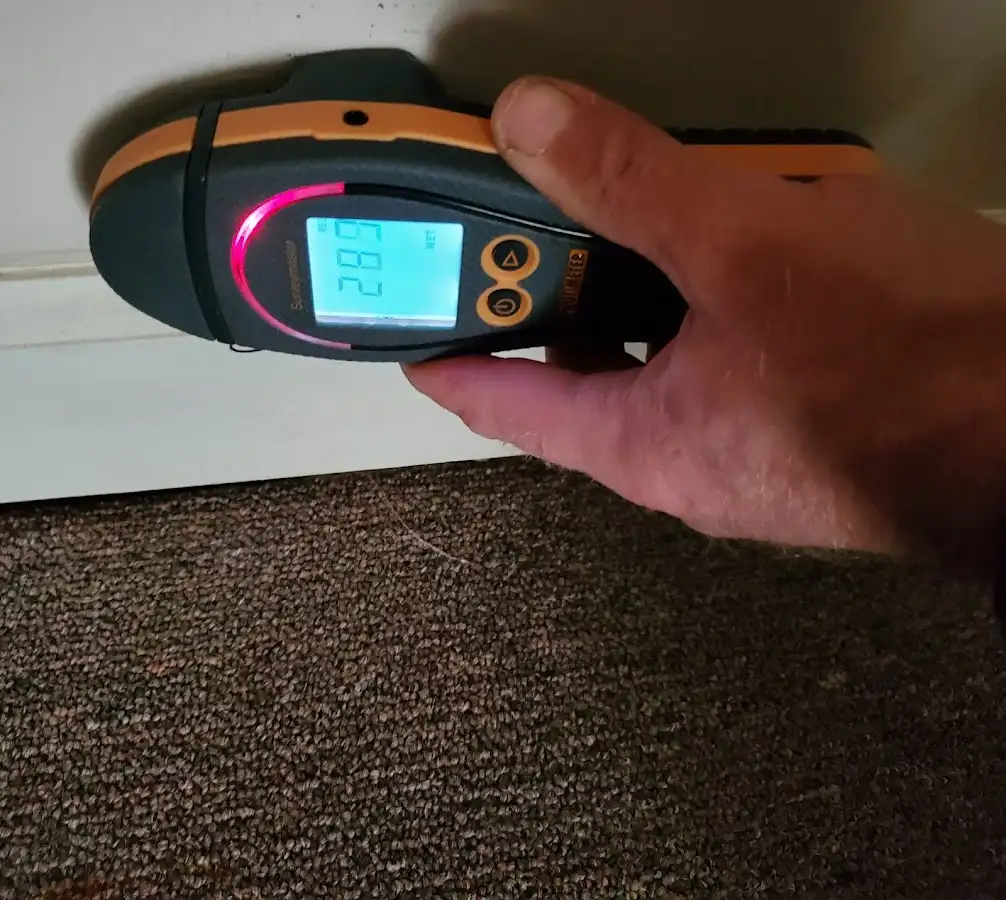 Moisture detection at baseboard during Mold Inspection & Testing in West Carson